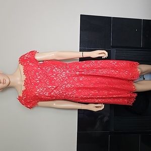 LIKE NEW LACE DRESS